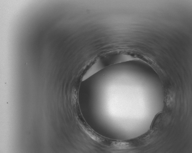 X0000080100476200612221743