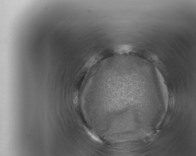 X0000080100477200612221743