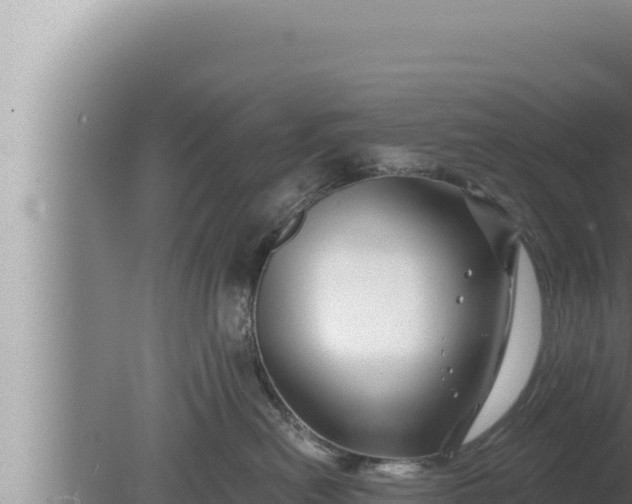 X0000080100478200612221743