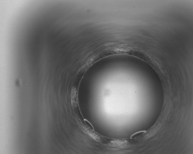 X0000080100480200612221743