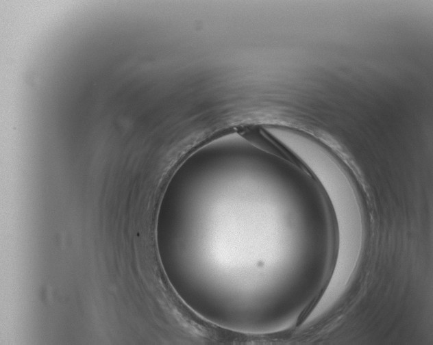 X0000080100481200612221743