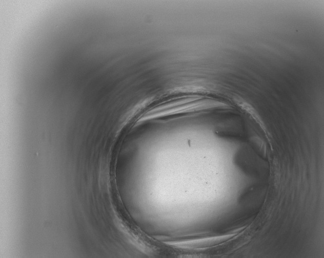 X0000080100482200612221742