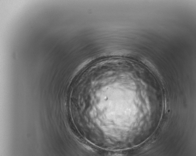 X0000080100483200612221742