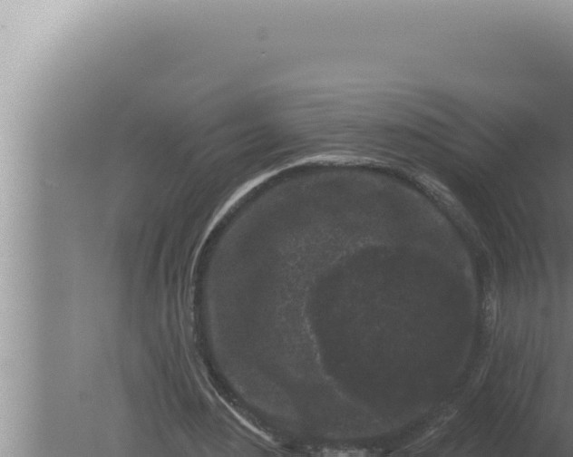 X0000080100484200612221742