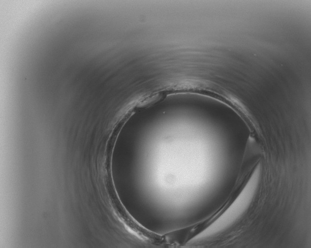 X0000080100485200612221742