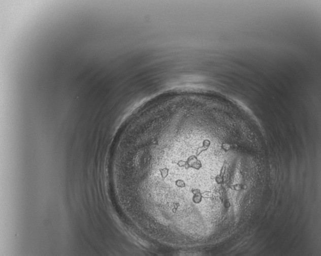 X0000080100487200612221742