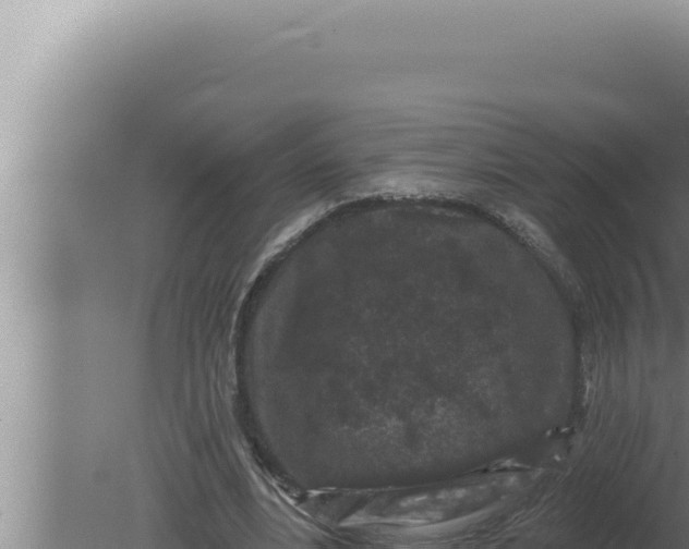 X0000080100488200612221742