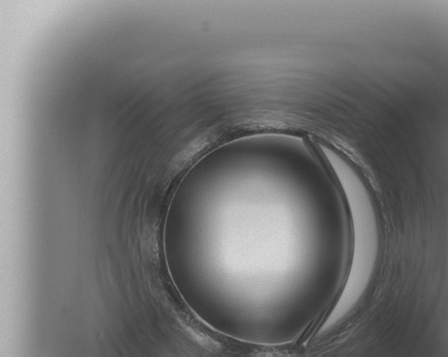 X0000080100489200612221742