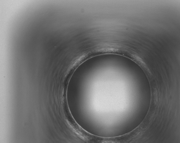 X0000080100490200612221742