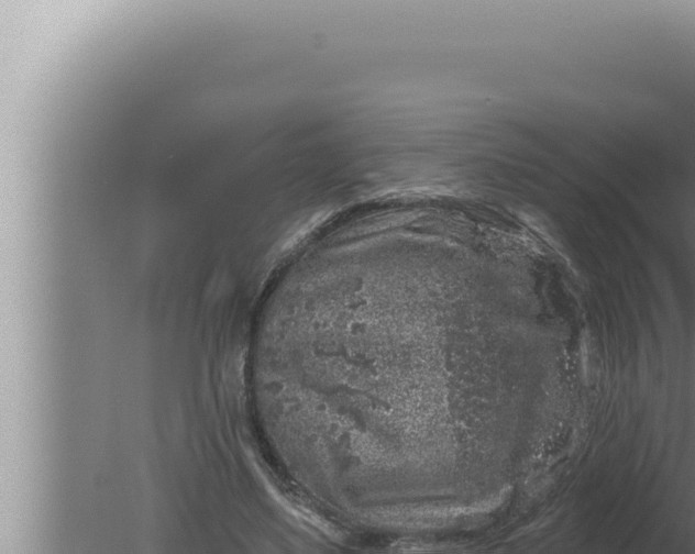 X0000080100491200612221742