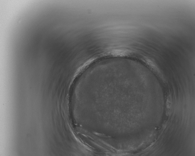 X0000080100492200612221742