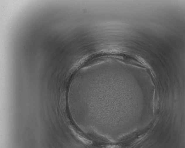 X0000080100493200612221742