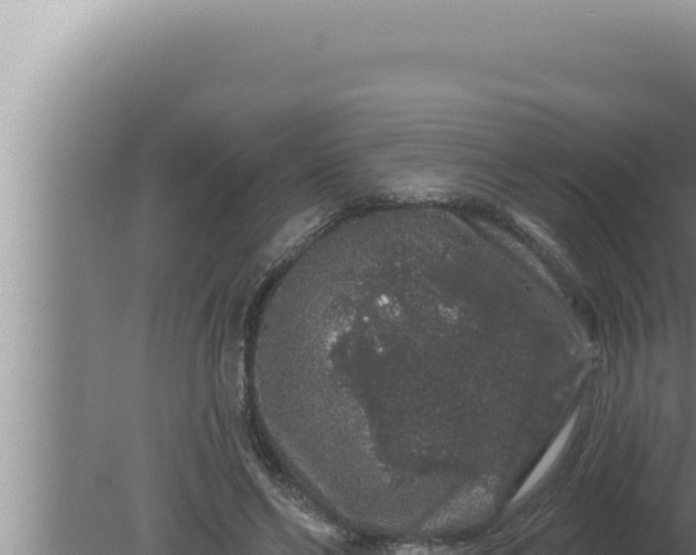 X0000080100494200612221742