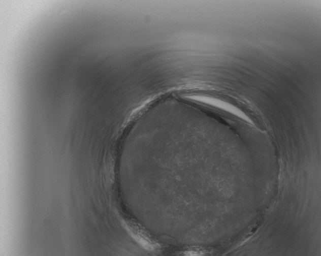 X0000080100496200612221742