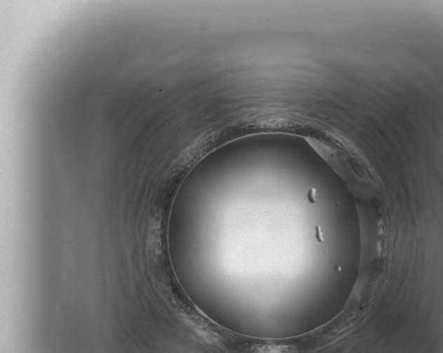 X0000080100497200612221742