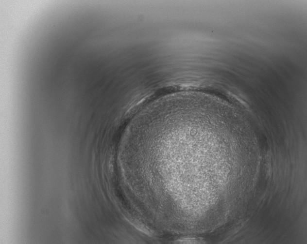 X0000080100499200612221742