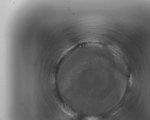 X0000080100500200612221742