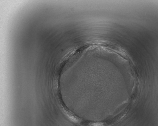 X0000080100501200612221742