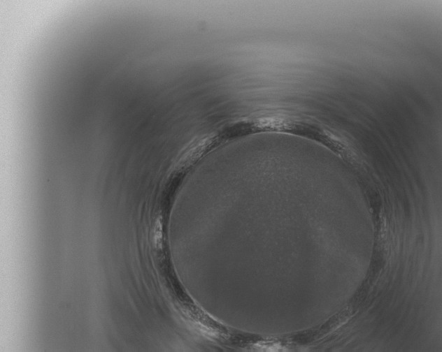 X0000080100502200612221742