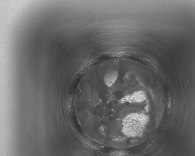 X0000080100503200612221742