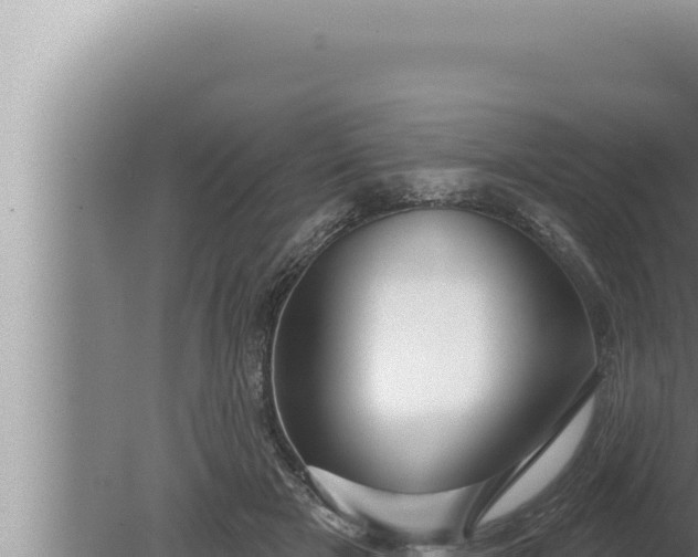 X0000080100505200612221742