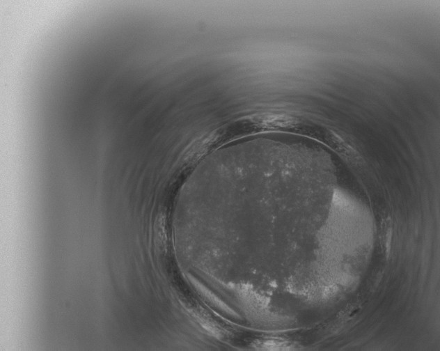 X0000080100506200612221742