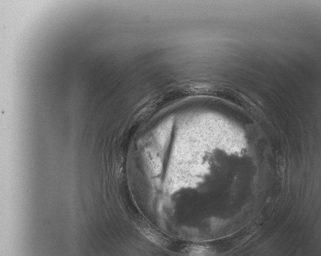 X0000080100507200612221742