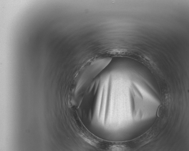 X0000080100508200612221742