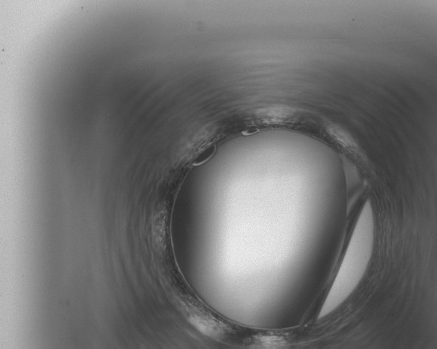 X0000080100509200612221742