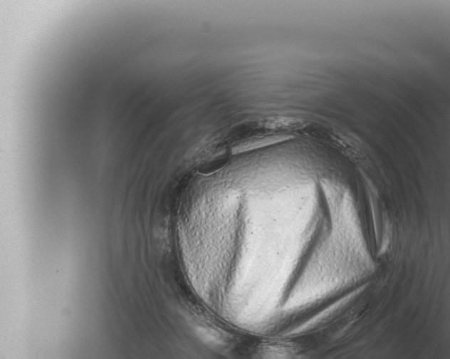 X0000080100510200612221742