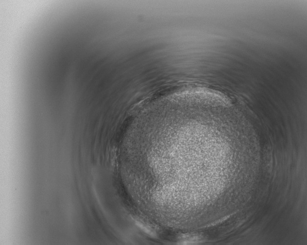 X0000080100511200612221742