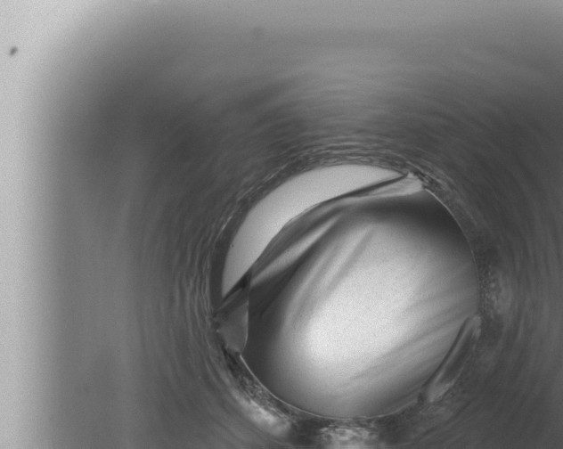 X0000080100512200612221742