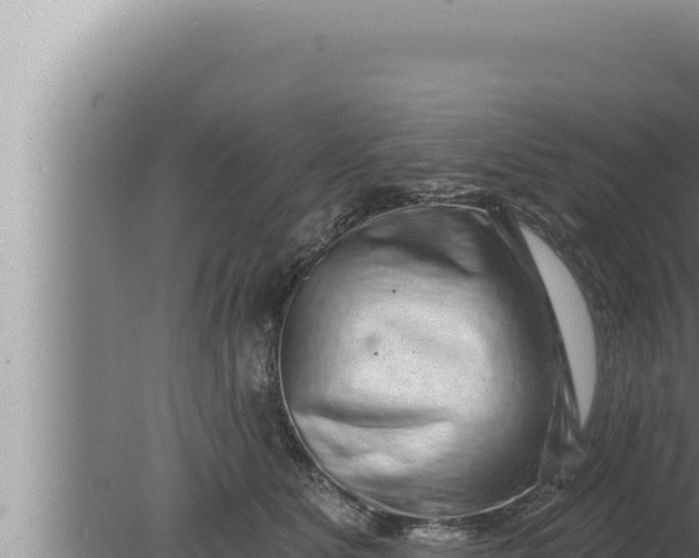 X0000080100515200612221742