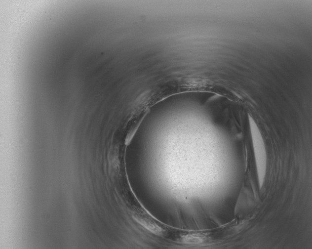 X0000080100516200612221742