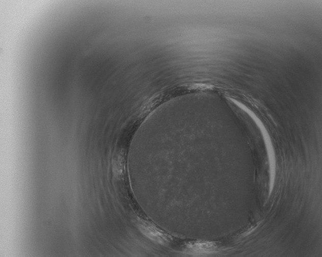 X0000080100517200612221742