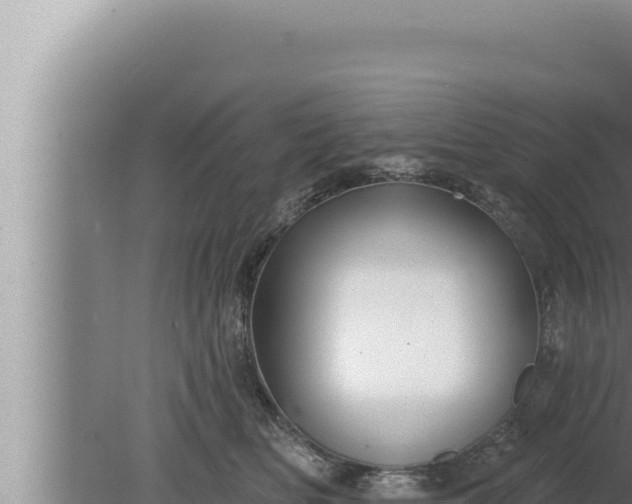 X0000080100518200612221742