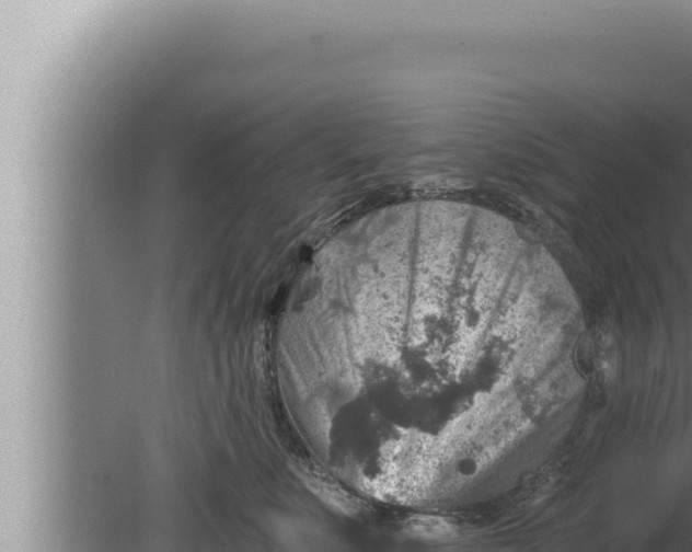 X0000080100519200612221742