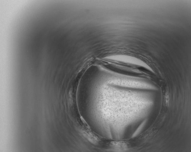 X0000080100520200612221742