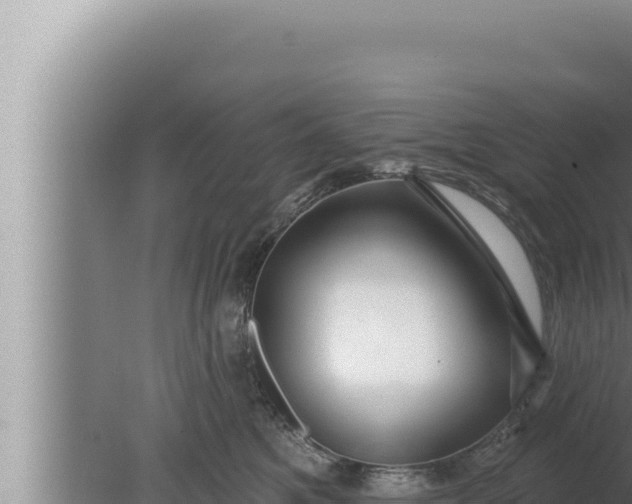 X0000080100521200612221742