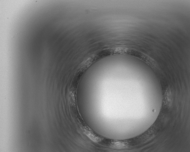 X0000080100522200612221742