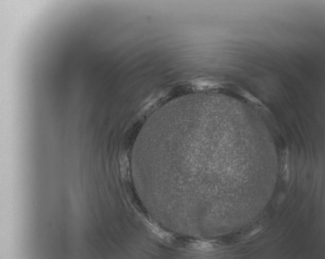 X0000080100523200612221742