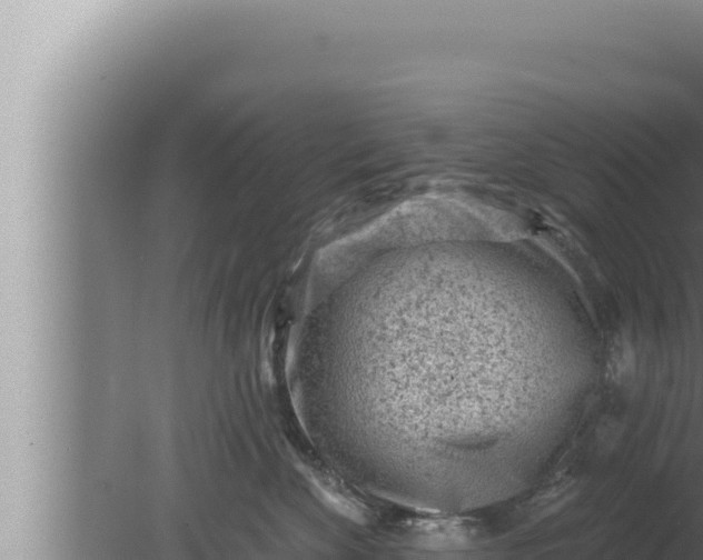 X0000080100524200612221742