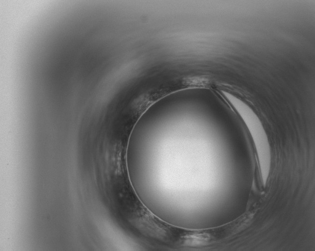 X0000080100525200612221742