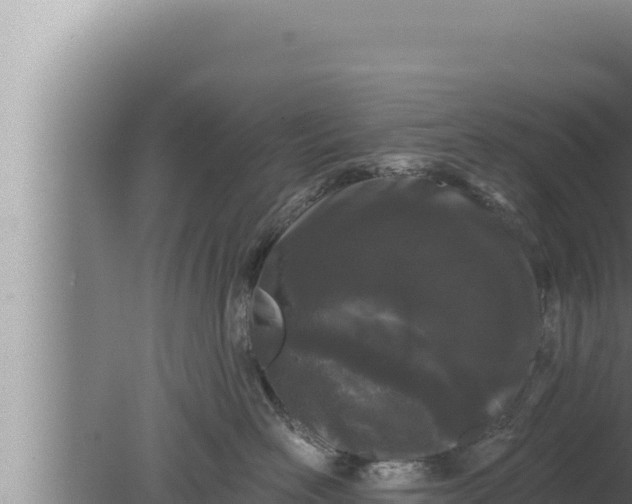 X0000080100526200612221742