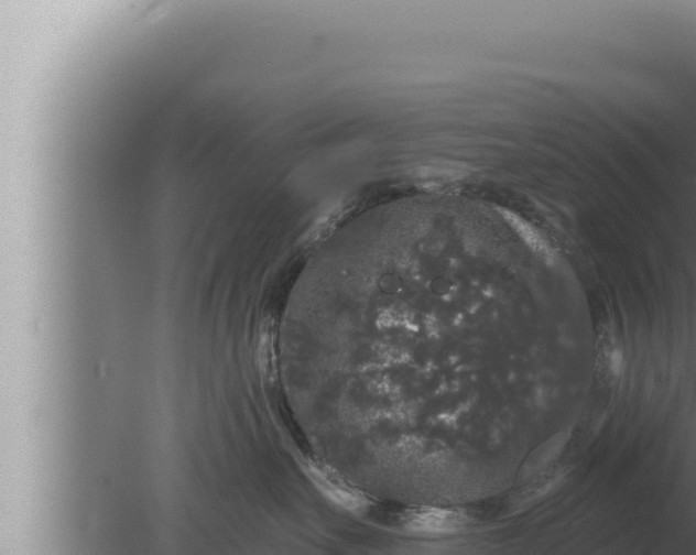 X0000080100527200612221742