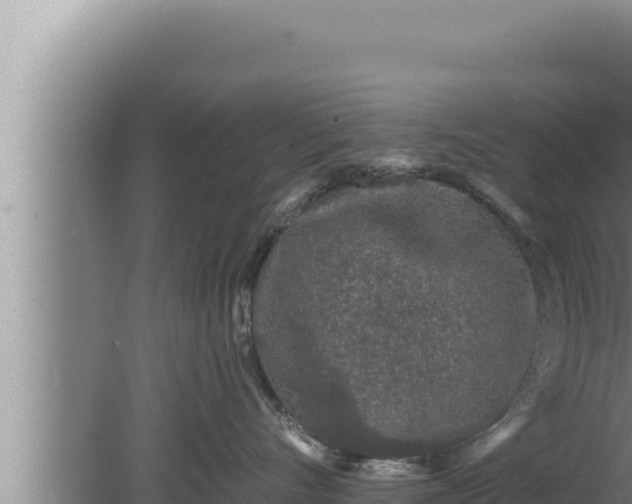 X0000080100528200612221742