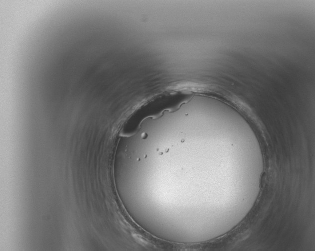 X0000080100529200612221741