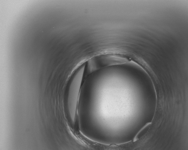 X0000080100530200612221741