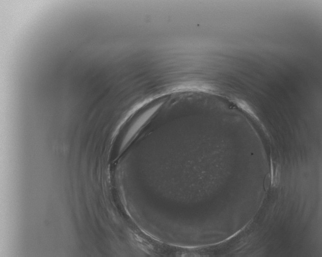 X0000080100531200612221741