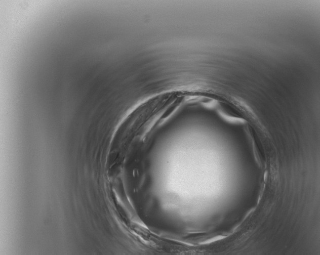 X0000080100532200612221741